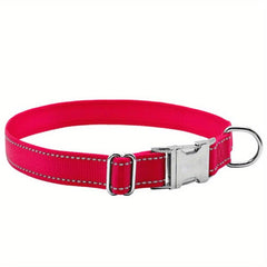 Custom Engraved Nylon Dog Collar with Metal Buckle