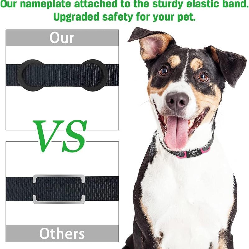 Personalized Slide-On Pet ID Tag for Dogs and Cats