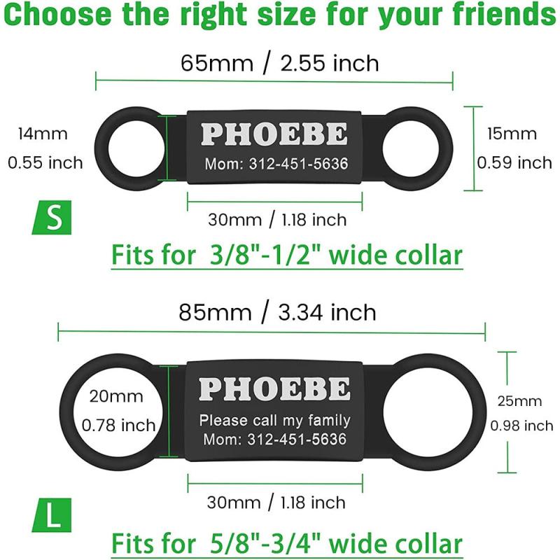 Personalized Slide-On Pet ID Tag for Dogs and Cats