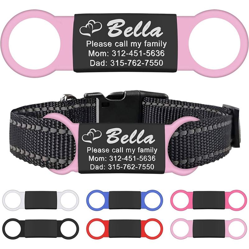 Personalized Slide-On Pet ID Tag for Dogs and Cats