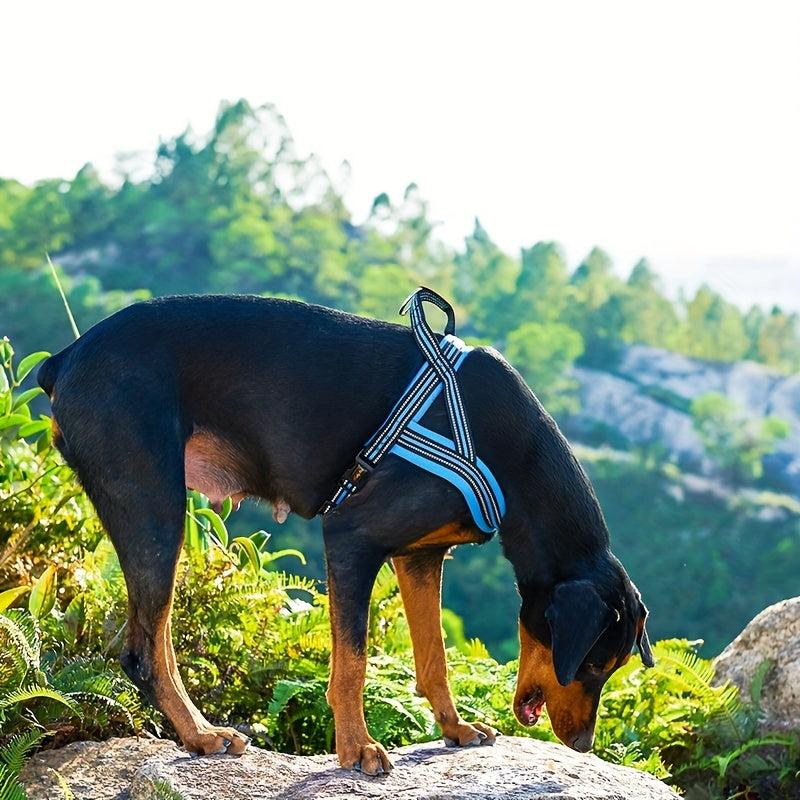 Mesh Dog Vest Harness & Leash Set for Small to Medium Dogs