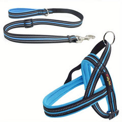 Mesh Dog Vest Harness & Leash Set for Small to Medium Dogs