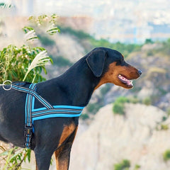 Mesh Dog Vest Harness & Leash Set for Small to Medium Dogs