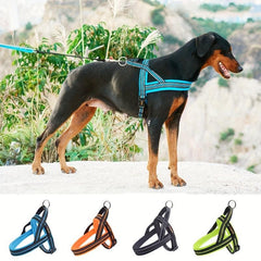 Mesh Dog Vest Harness & Leash Set for Small to Medium Dogs