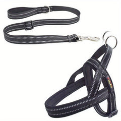 Mesh Dog Vest Harness & Leash Set for Small to Medium Dogs
