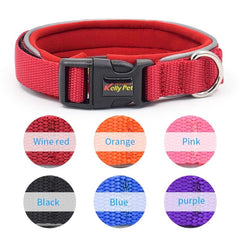 Adjustable Pet Collar for Small and Medium Pets Comfortable & Durable