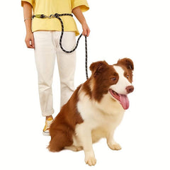 Reflective Nylon Dog Rope Leash for Safe Walking