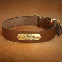 Personalized Leather Dog Collar With Engraved Nameplate