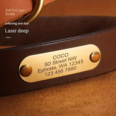 Personalized Leather Dog Collar With Engraved Nameplate