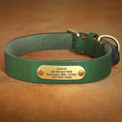 Personalized Leather Dog Collar With Engraved Nameplate
