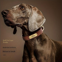 Personalized Leather Dog Collar With Engraved Nameplate