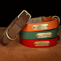 Personalized Leather Dog Collar With Engraved Nameplate