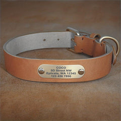 Personalized Leather Dog Collar With Engraved Nameplate