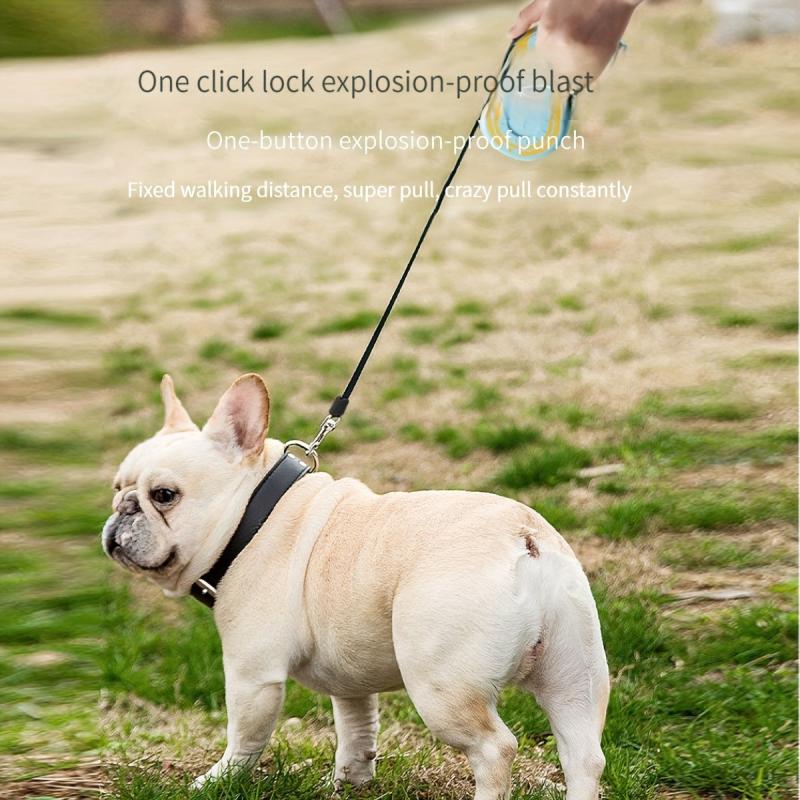 Retractable Dog Leash for Small and Medium Dogs