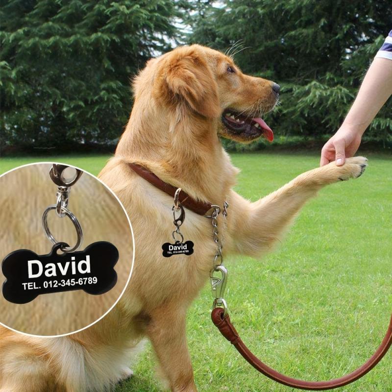 Personalized Stainless Steel Pet ID Tag Bone Shape with Name and Phone Number