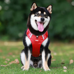 Adjustable No Pull Pet Harness for Dogs and Cats with Easy Control Handle