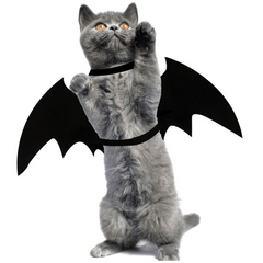 Cat Bat Wings Halloween Party Decoration Costume Pet Cosplay Bat Costume