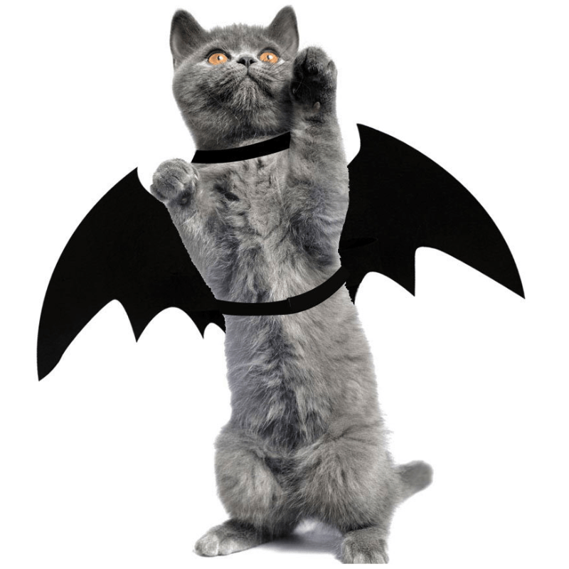 Cat Bat Wings Halloween Party Decoration Costume Pet Cosplay Bat Costume