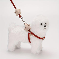 Star Decor Dog Harness & Leash Set