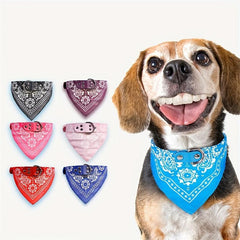 Adjustable Dog Collar with Bandana and Triangle Towel