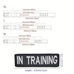 Custom Name Patch Tactical Dog Collar - Medium/Large Dogs