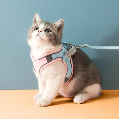 Adjustable Cat Harness And Leash Set for Kittens