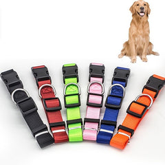 Adjustable Nylon Dog Collar Durable Pet Collar For Small Medium Dog Cats