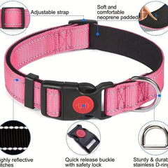 Reflective Nylon Dog Leash Set with Padded Handle for Dogs