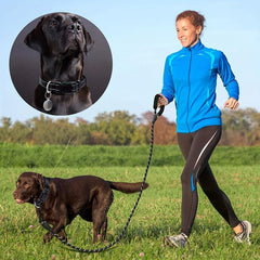 Reflective Nylon Dog Leash Set with Padded Handle for Dogs