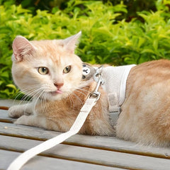 Bear Pattern Pet Harness and Leash Set for Small Dogs and Cats - Secure Fit