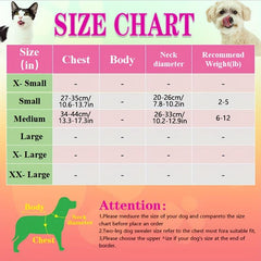 Bear Pattern Pet Harness and Leash Set for Small Dogs and Cats - Secure Fit