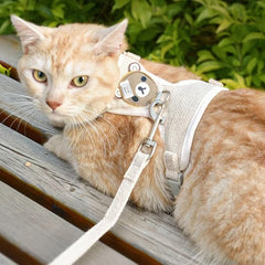 Bear Pattern Pet Harness and Leash Set for Small Dogs and Cats - Secure Fit
