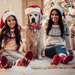 Christmas Cat Dog Collar Adjustable Safety Collar Bow Pet Accessory