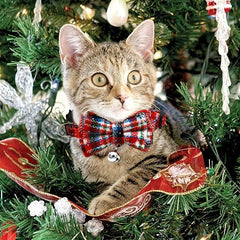 Christmas Cat Dog Collar Adjustable Safety Collar Bow Pet Accessory