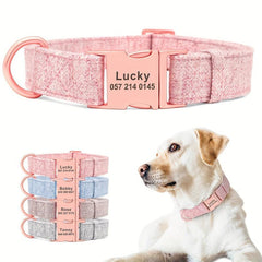 Personalized Dog Collar with Engraving & Adjustable Sizing