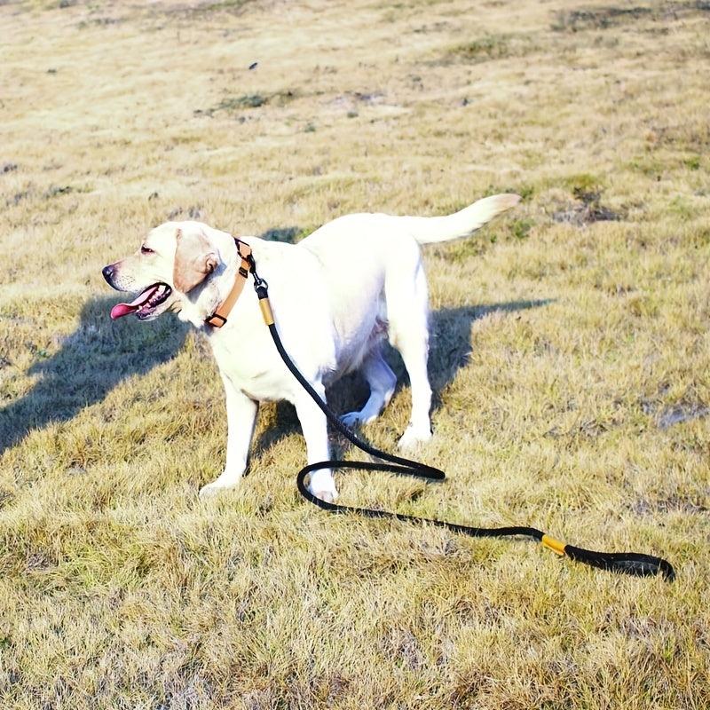 Heavy Duty Cow Leather Dog Leash for Small, Medium, Large Dogs