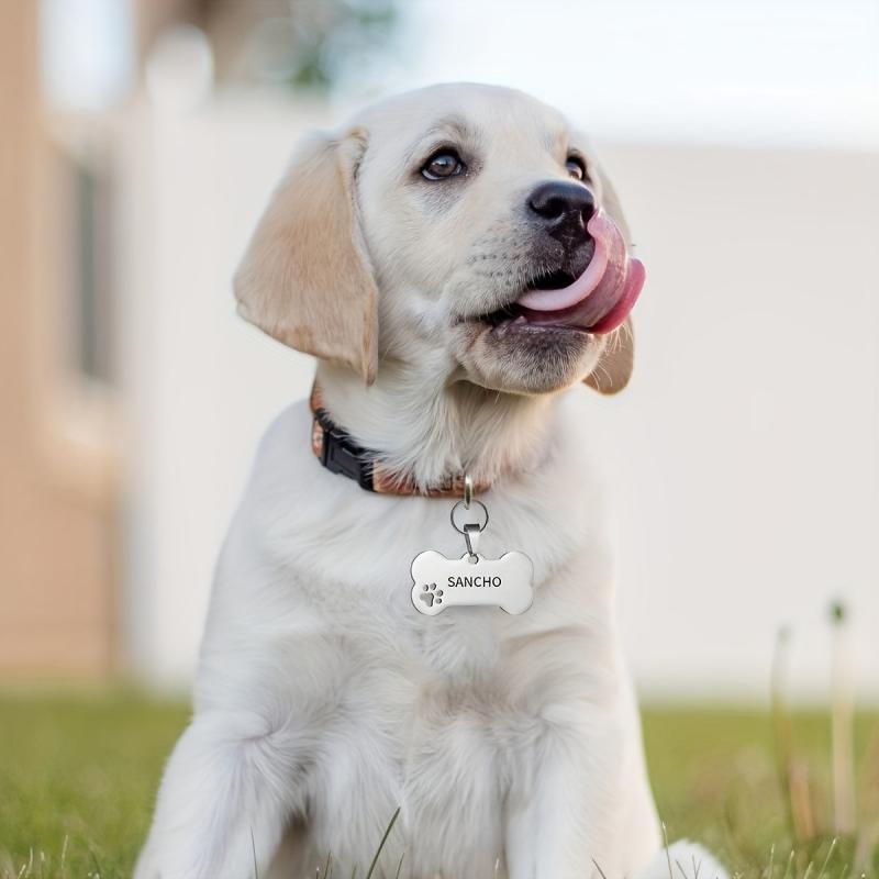 Personalized Pet ID Tag Engraving Dog Name Tag Shape Pet Name Plate Anti lost