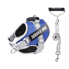 Adjustable Reflective Dog Harness and Leash Set for Small and Medium Dogs