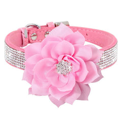 Sparkle Rhinestone Dog Collar for Parties