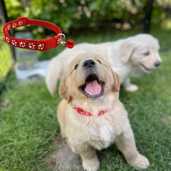 12Pcs Soft Puppy Whelping Collars With Bells Adjustable Reusable Dog Collar