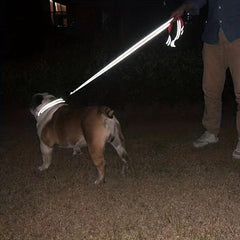 Reflective Dog Leash Night Light Traction Rope Non slip For Large & Small Dogs