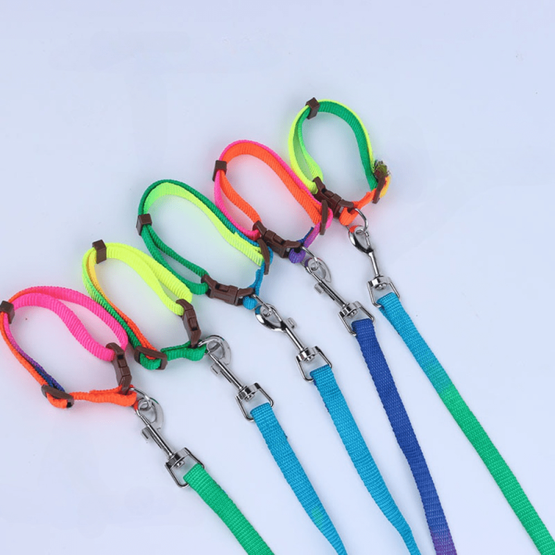 Soft Handle Nylon Pet Leash and Collar Set for Small and Medium Dogs