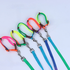 Soft Handle Nylon Pet Leash and Collar Set for Small and Medium Dogs