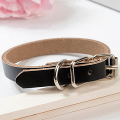 Stylish & Adjustable Solid Dog Collar
