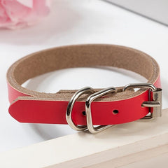 Stylish & Adjustable Solid Dog Collar