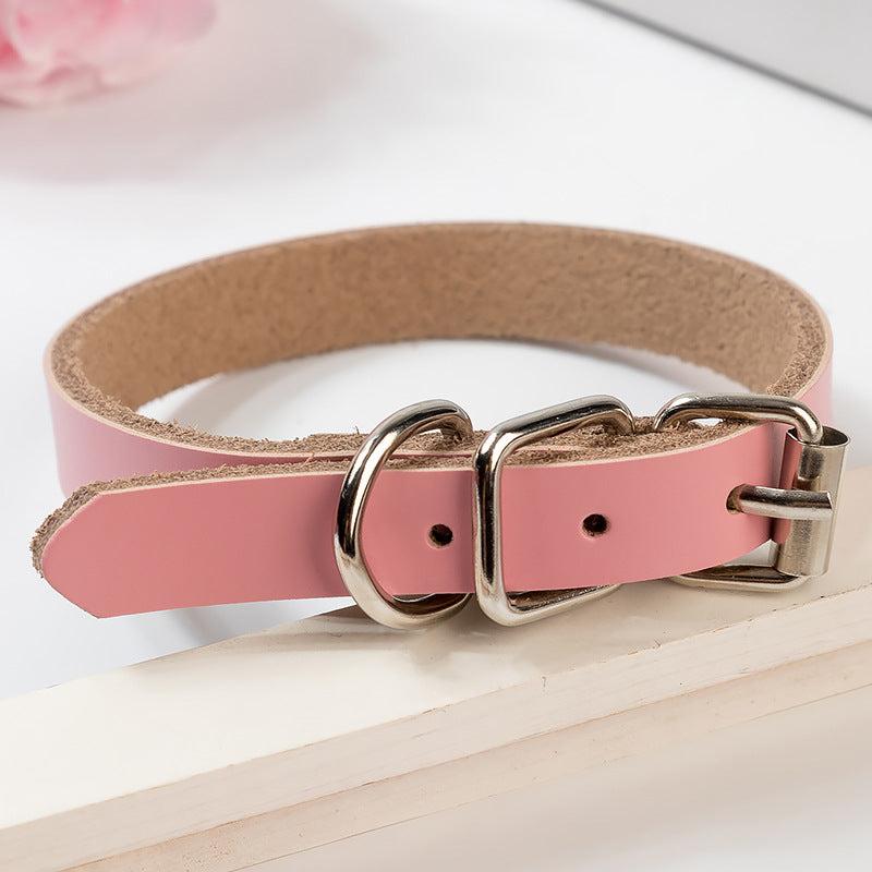 Stylish & Adjustable Solid Dog Collar