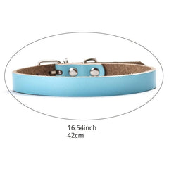 Stylish & Adjustable Solid Dog Collar