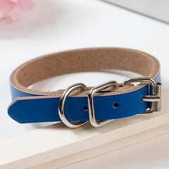 Stylish & Adjustable Solid Dog Collar