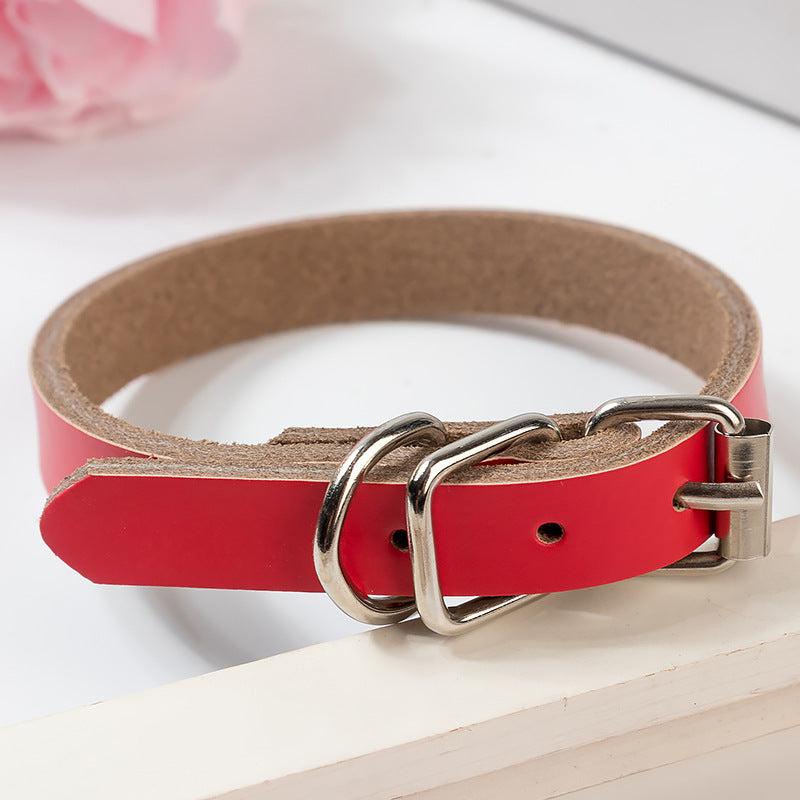 Stylish & Adjustable Solid Dog Collar