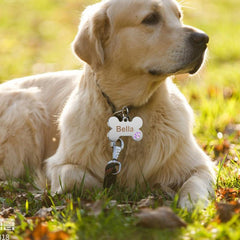 Personalized Engraved Dog Tags - Customize Your Pet's Collar
